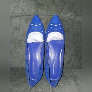 Banana Republic Royal Blue Suede Pointed-Toe Flats
